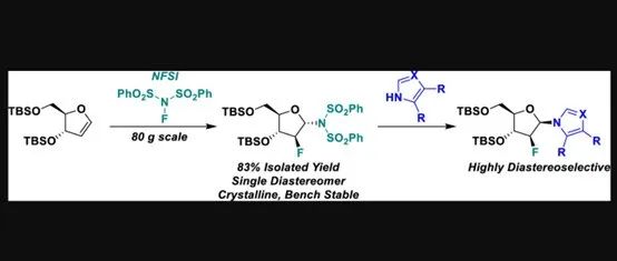 Construction of syn-2′-Deoxy-2′-fluoronucleosides