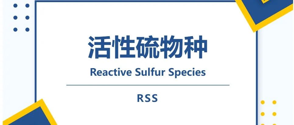 超越ROS：活性硫物种（RSS）—— 细胞信号传导的新王者