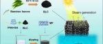 蒸发材料0817丨重庆交通大学CEJ论文：生物质衍生的三维坚固太阳能蒸发器，用于高效蒸汽生成、水净化和耐盐脱盐