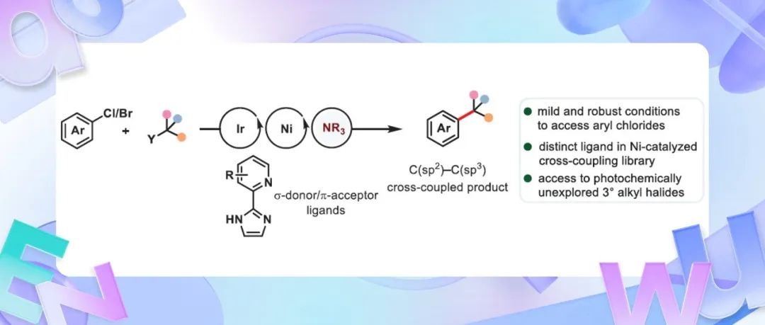 【Angew. Chem.】印度理工学院/塔斯马尼亚大学：金属光氧化还原催化芳基氯与烷基卤化物的交叉亲电偶联反应