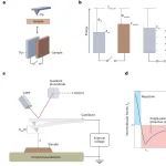 研究进展：开尔文探针力显微镜KPFM | Nature Reviews Methods Primers