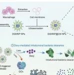 AFM | 中南大学向大雄/吴军勇研究为靶向肿瘤微生物的药物递送平台开发提供新启示