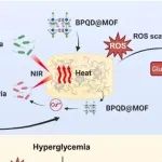 Biomaterials | 南方医科大学张超研究制备了级联多纳米酶水凝胶修饰的生物活性支架诱导M2极化以修复糖尿病性骨缺损