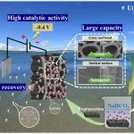 中科院生态环境中心栾富波团队ACS ES&T Engg.：三维木材基电极实现铀的高效电催化回收