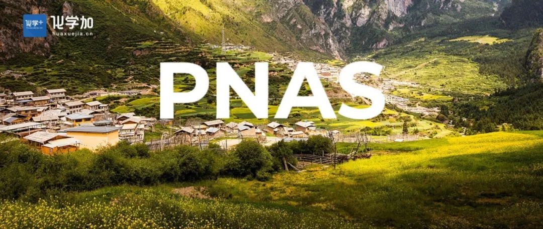 PNAS |&#160;雷晓光团队与合作者揭示植物中类BBE酶催化氧化反应路径选择性的分子机制