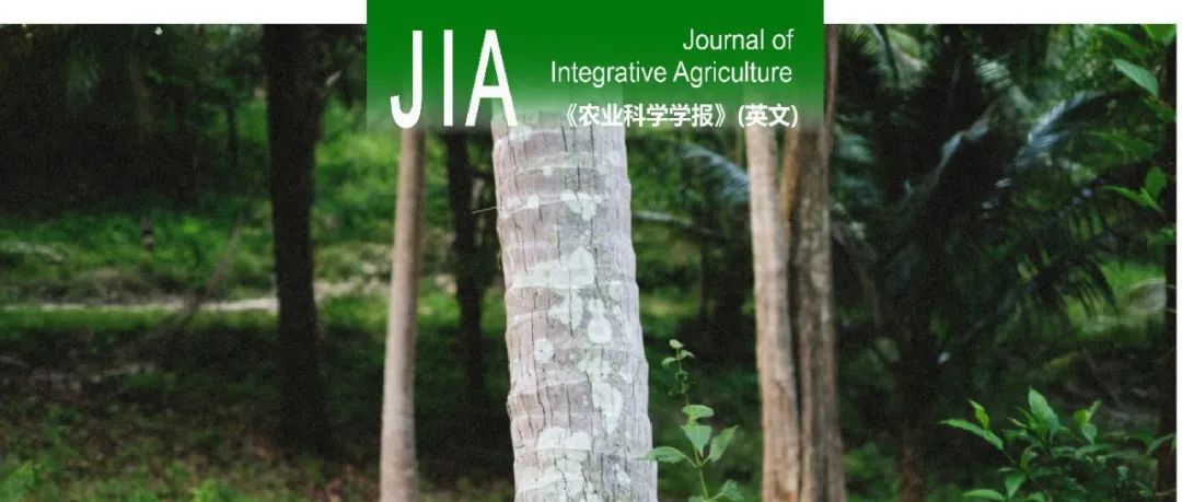 JIA | 中国热科院与上海交通大学在橡胶树红根病生物防治研究方面取得新进展