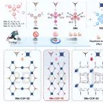 马利建课题组Angewandte Chemie：基于排斥-扭转效应的COFs全维度调控