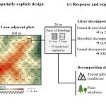 Journal of Ecology | 沈阳生态所在杉木人工林微环境预测凋落物分解方面取得新进展