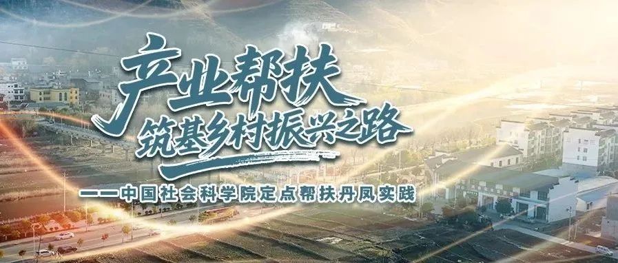 产业帮扶，筑基乡村振兴之路——中国社会科学院定点帮扶丹凤实践