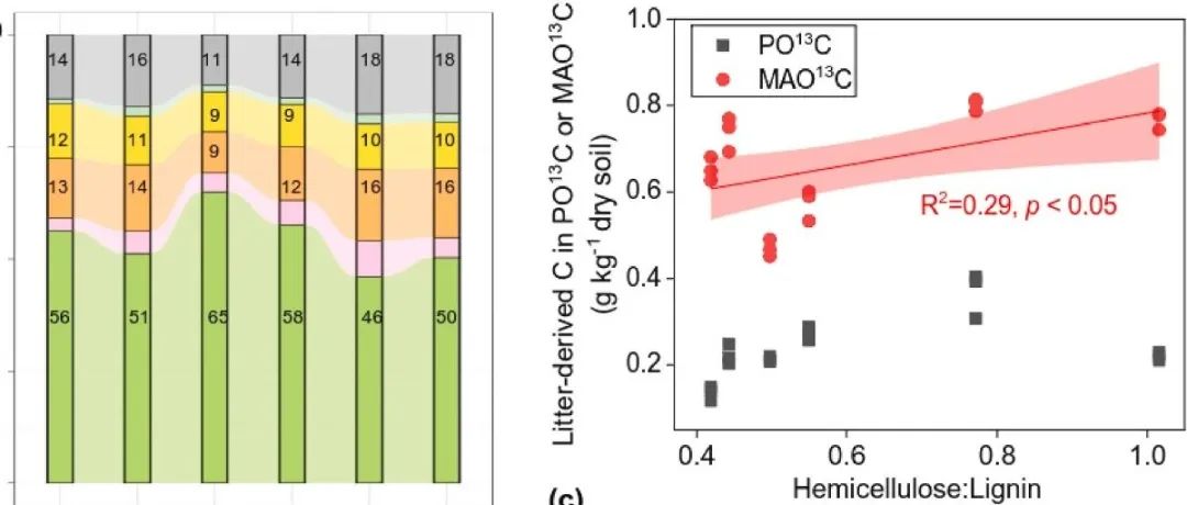 微生物残体碳固存丨SOIL BIOL BIOCHEM：植物质量和土壤外酶在调节凋落物碳向真菌和细菌残体转移中的相反作用