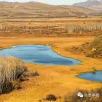 东北地理所在湖泊CO2排放研究中取得新进展
