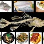 亚洲海鲈（Lates calcarifer）：一种适应海水与淡水养殖的多用途鱼种