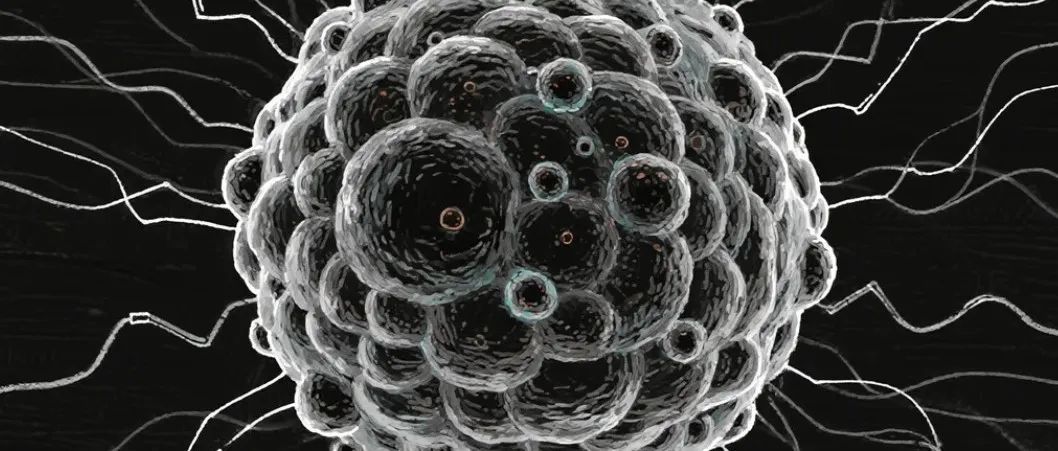 用原子制作薛定谔的猫，AI助力组装未来量子计算机的「大脑」