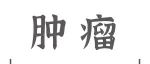Adv Sci |&#160;吴小剑/高峰/王连生团队发布结直肠癌CT影像大模型CRCFound，赋能多任务精准诊疗