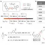 JACS|  短波红外半菁-6用于肺癌转移的癌症激活式免剃毛临床前成像