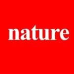 机器学习！上交「国家高层次人才」叶天南&上科大齐彦鹏Nature子刊丨机器学习辅助调控Ru-N键促进氨合成