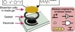 浙江大学王宝俊团队Chem & Bio Engineering | 集成生物计算的全细胞生物电子传感器实现高效化学分子检测