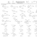 南京大学陆红健团队Nature Chemistry发文：脱胺Giese反应