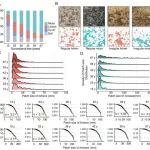 地理所孙靖尧、余开亮等在PNAS发文揭示旱区生物结皮的空间自组织过程及机理