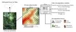 Journal of Ecology | 沈阳生态所在杉木人工林微环境预测凋落物分解方面取得新进展