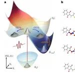 研究前沿：染料-有机光电子材料 | Nature Chemistry