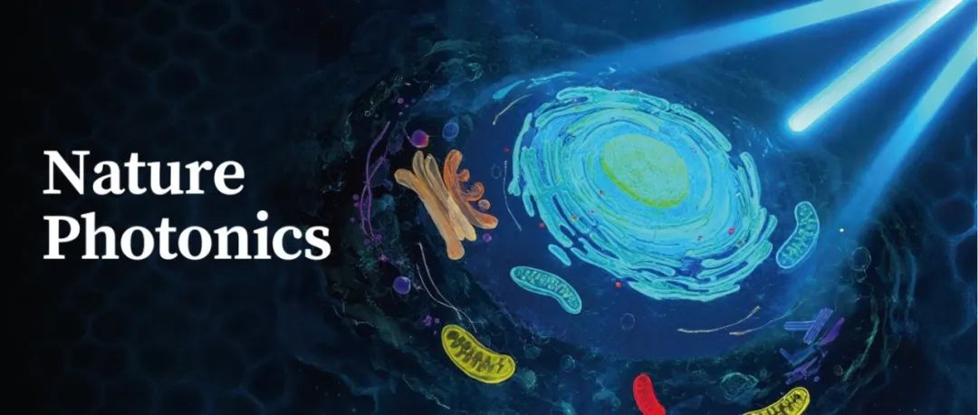 席鹏团队Nature Photonics | 三角结构光照明显微镜，引领活细胞超分辨新时代
