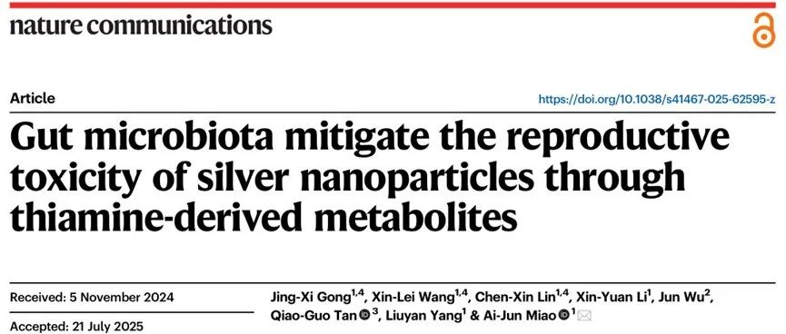 南京大学缪爱军团队Nat. Commun.：肠道微生物通过硫胺素衍生代谢物减轻银纳米颗粒的生殖毒性