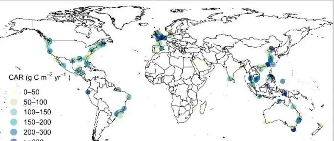 Earth-Science Reviews | 滨海湿地碳积累速率的全球格局及驱动因素
