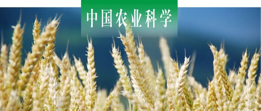 中国农业科学 | 山西农大联合中国农科院作科所筛选耐低氮小麦品种 全基因组关联分析其耐低氮指数