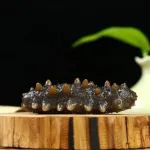 FSHW | 刺参衍生寡肽对高果糖诱导的小鼠高尿酸血症中肠道菌群和血清代谢组的调节作用研究