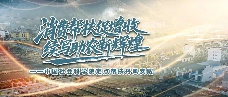 消费帮扶促增收，续写助农新辉煌——中国社会科学院定点帮扶丹凤实践