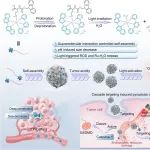 Adv. Mater：自组装钌-氨基酸偶联物可通过内质网-核级联靶向实现细胞焦亡和DNA破坏