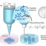 Nature Commun：一锅型3D打印方法制备的分级有序多孔过渡金属化合物
