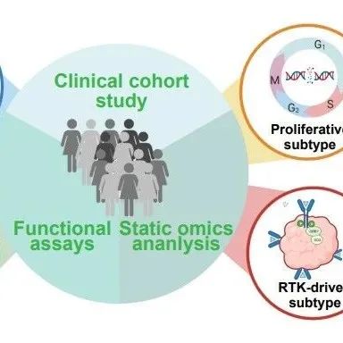 Cancer Res | 复旦大学邵志敏等人研究强调了亚型导向的精准治疗策略在HR+/HER2-乳腺癌中的优越性