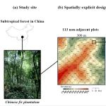 Journal of Ecology | 沈阳生态所在杉木人工林微环境预测凋落物分解方面取得新进展