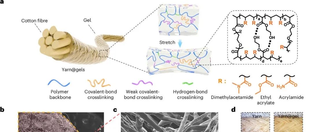 苏州大学严锋教授 Nature Materials：柔性可切割燃料电池