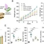 Adv Sci丨河南中医药大学苗明三等人研究发现EUG可通过吸入双重机制预防和治疗NAFLD