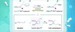 【JACS】巴塞罗那科学技术学院Marcos G. Suero：Rh-Carbynoid 和烷基碘化物的催化氧化配体转移