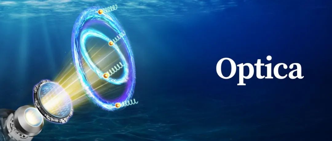 丁剑平/王慧田等Optica | 偏振梯度：微粒三维精准操控