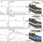 Water Resources Research | 中科院亚农所在喀斯特关键带多界面径流触发机制及其高效利用潜力研究取得进展