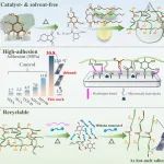 江南大学马松琪教授团队《Macromolecules》：葡萄糖-大豆油基可回收环氧胶粘剂
