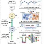 厦门大学&宁德时代：面向色谱化、固态化、器件化的电池产气研究
