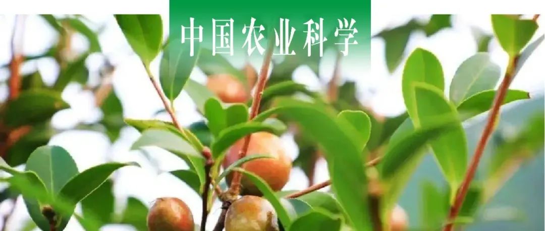 中国农业科学 | 西南林业大学梁倩课题组鉴定油茶壳杀黏虫活性成分并探索其作用机制