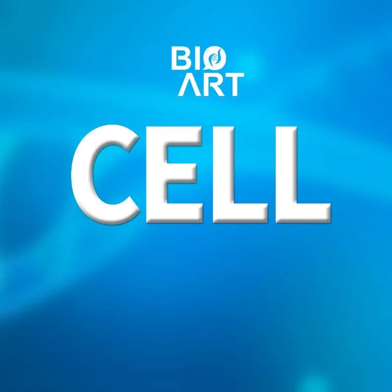 Cell丨张政/鞠斌/薛婧/鄢仁鸿/谭文杰等合作鉴定出抗猴痘病毒的人源单克隆抗体