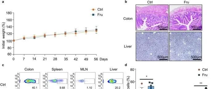 IF=53！奶茶促炎实锤！川大华西最新研究：高果糖饮食直接促进炎症，二甲双胍或可逆转