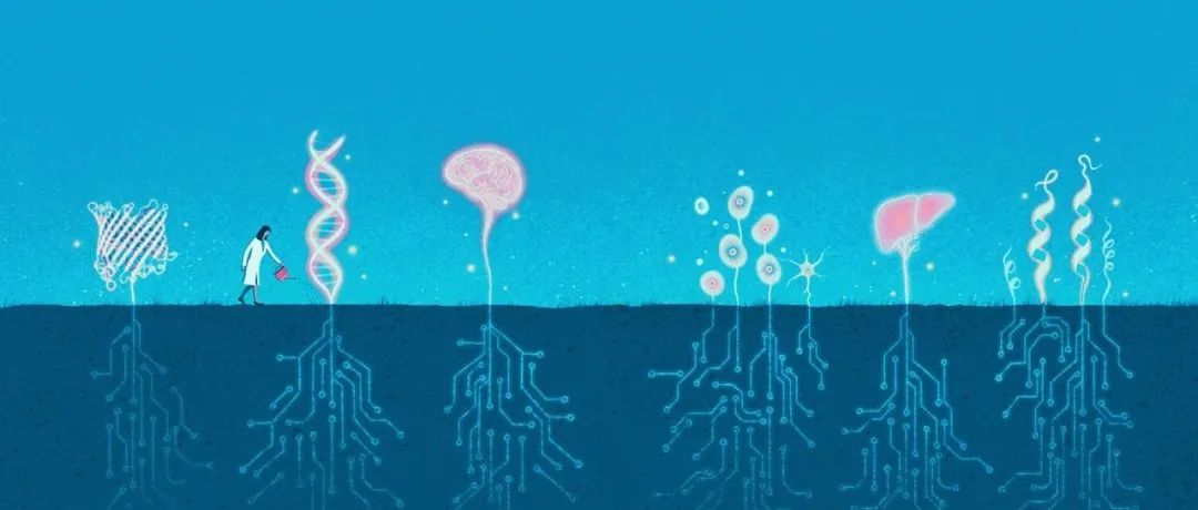 重磅！2025年国自然，评审结果公布！