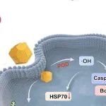 Small | 广西医科大学张维青等团队研究发现PtSb纳米合金诱导细胞凋亡和免疫原性死亡，提升癌症治疗效果