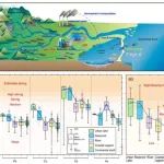 广州大学董旭辉团队合作WR：海岸潟湖——陆海污染的天然“过滤器”