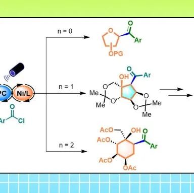 【Angew. Chem.】武汉大学孔望清教授课题组：碳环糖的立体选择性精准合成