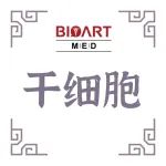 Adv&#160;Sci丨揭示“RNA表观修饰（m6A）→组蛋白修饰酶（EP300）→组蛋白乙酰化（H3K27ac）”的跨层级调控通路